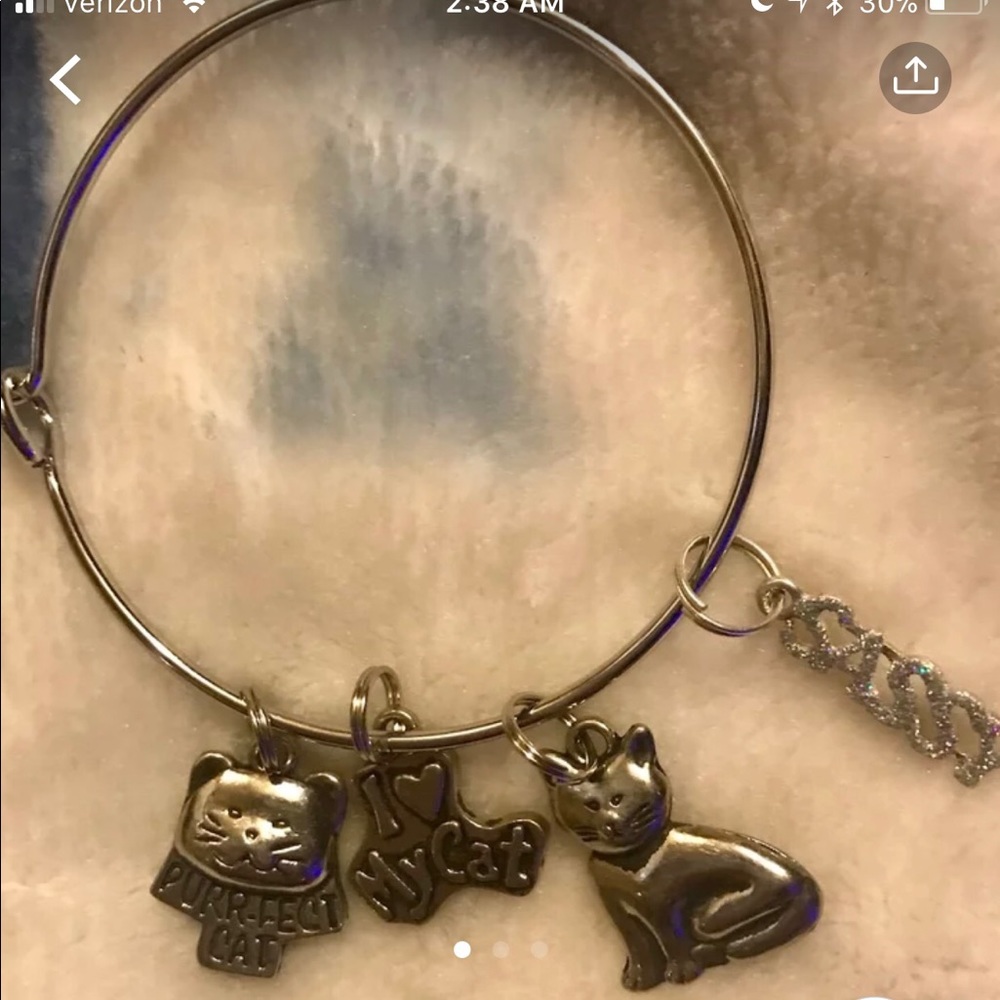 Cat Charm Bracelet